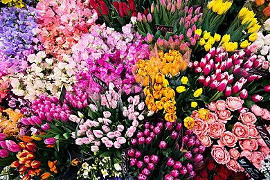 Take-Two CEO：主机竞争有好处但非必要